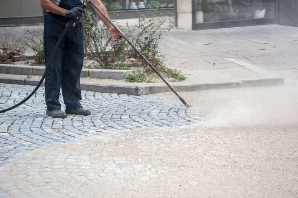 Best Driveway Pressure Washing  in Estill, SC